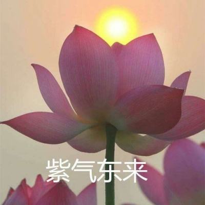 糖糖小镇医生护士游戏下载